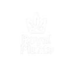logo royal plants blanco