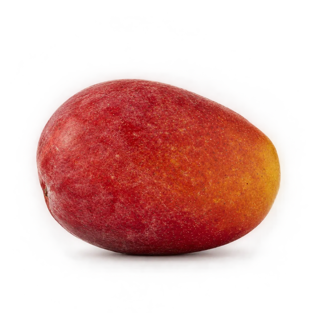 mango irwin